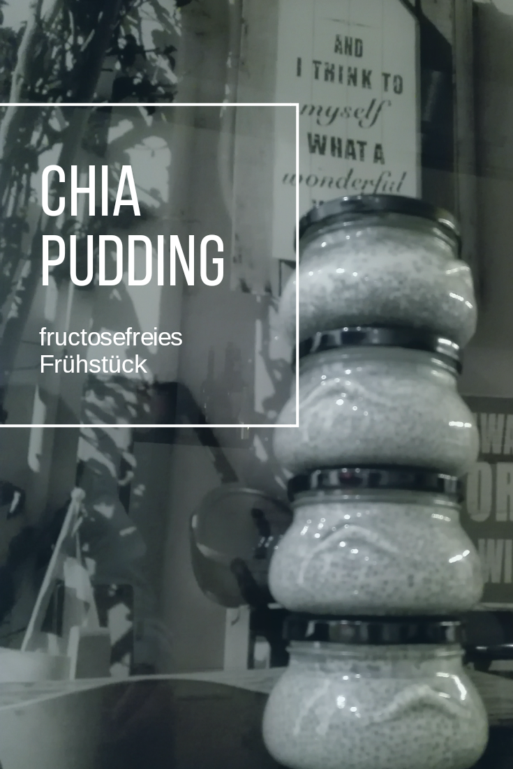 Chia Pudding fructosefreies Frühstück Karenzzeit.png